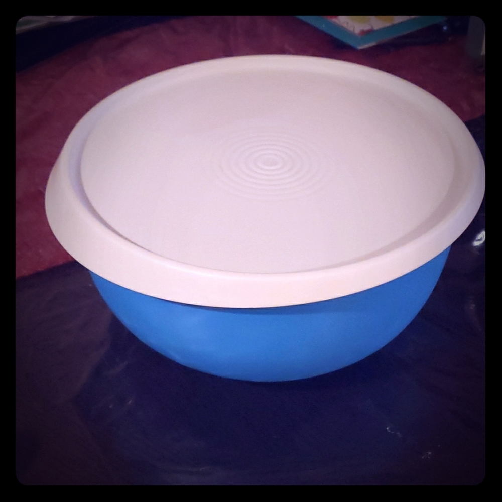 Tupperware " Essentials Bowl